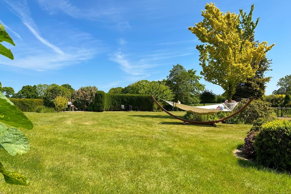 Garden, sunbed