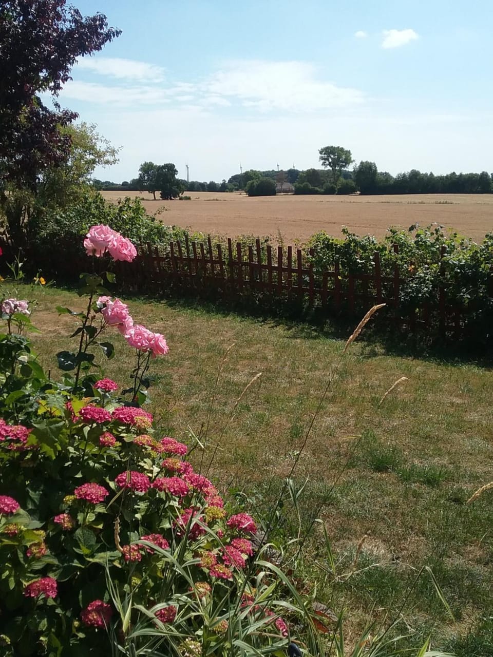 ostseeurlaub-asmussen Apartment in Region of Southern Denmark