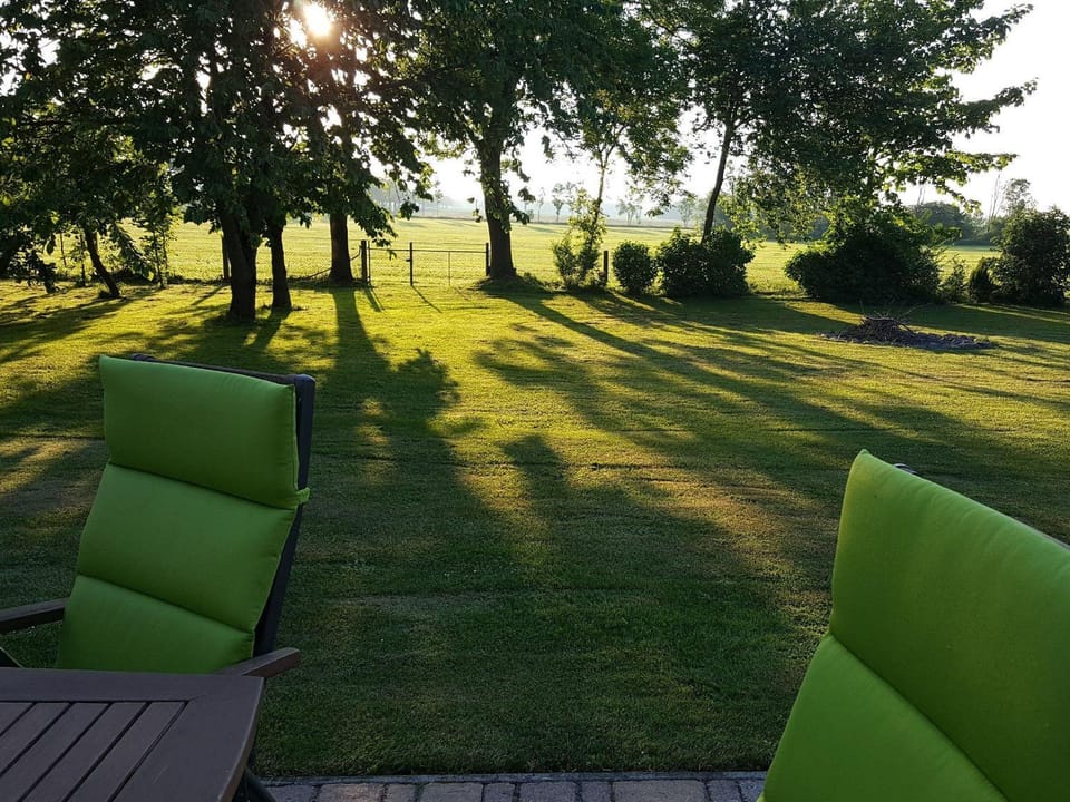 Ferienwohnung-Wiesenblick-mit-GRATIS-Leistungen Apartment in Mecklenburg-Vorpommern, Germany