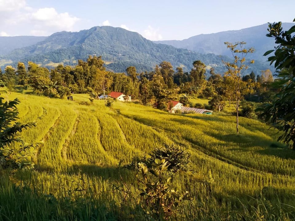 Neighbourhood, Natural landscape, Hiking