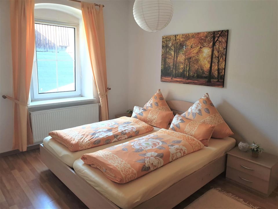 Ferienwohnungen-Am-Schloessel-in-Oberwiesenthal Apartment in Erzgebirgskreis