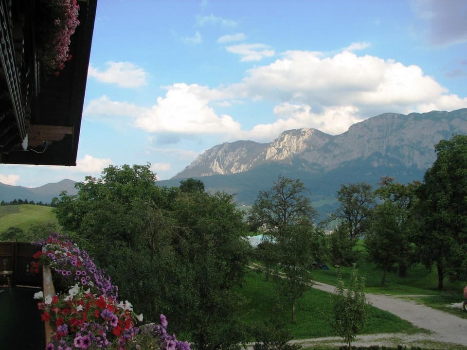 Natural landscape
