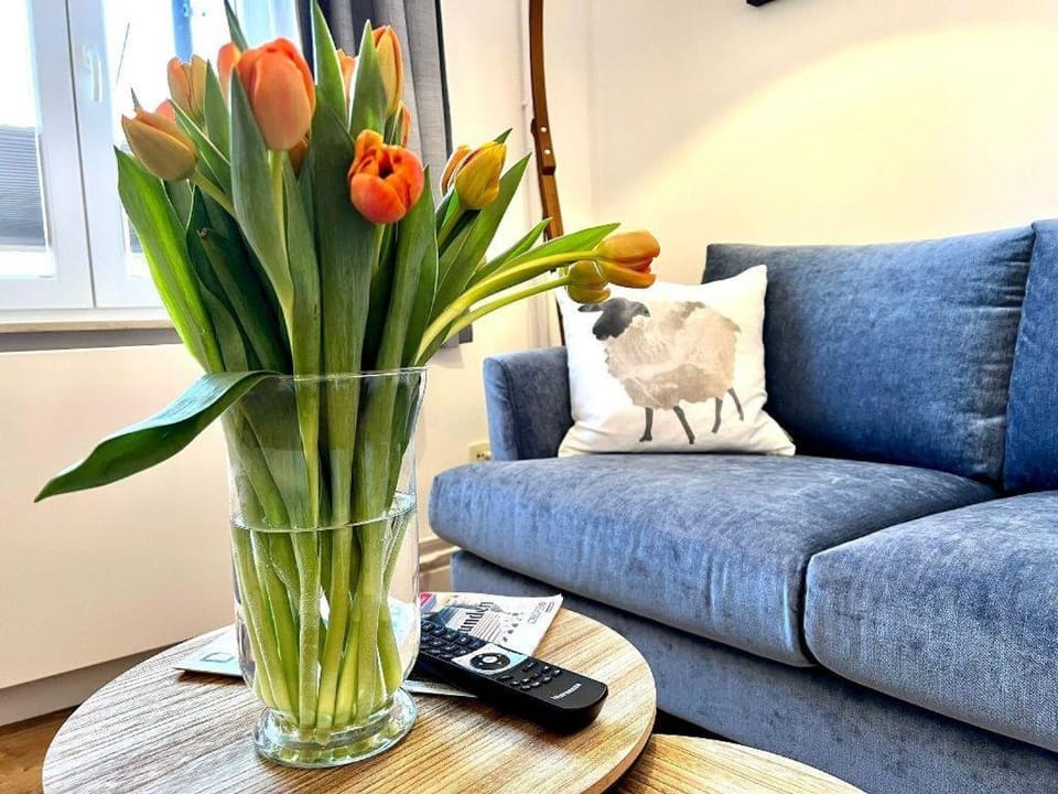 Kapitaenshaus-Lassen-Zimmer-Mendoza Bed and Breakfast in Westerland