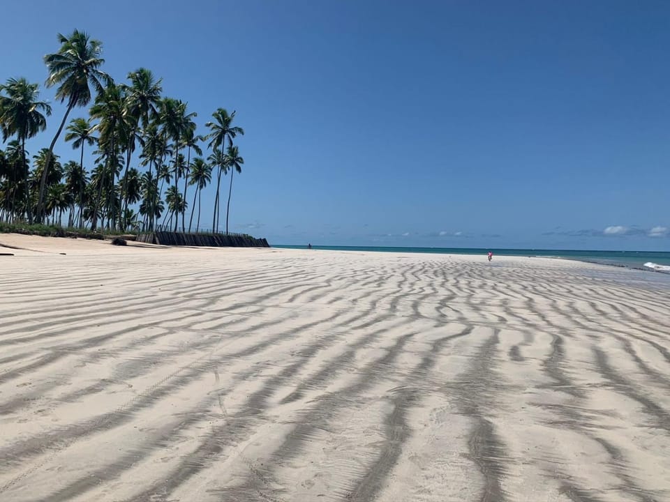 Flats de Luxo em Carneiros, a beira mar, pé na Areia | Carneiros Beach Resort Resort in State of Pernambuco, Brazil