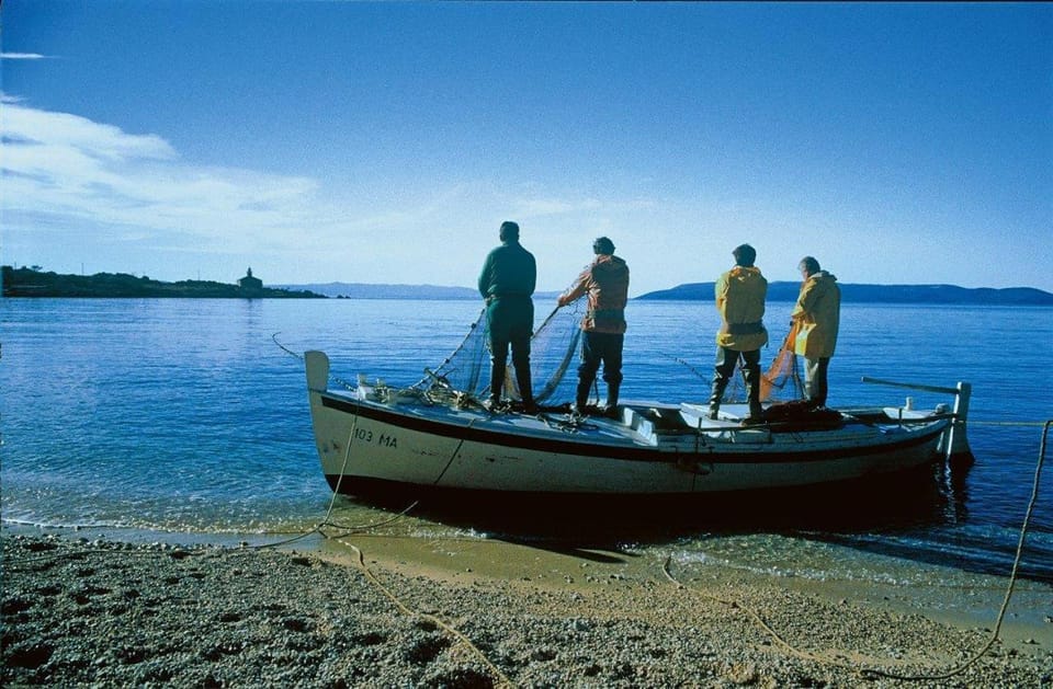People, Fishing, Beach