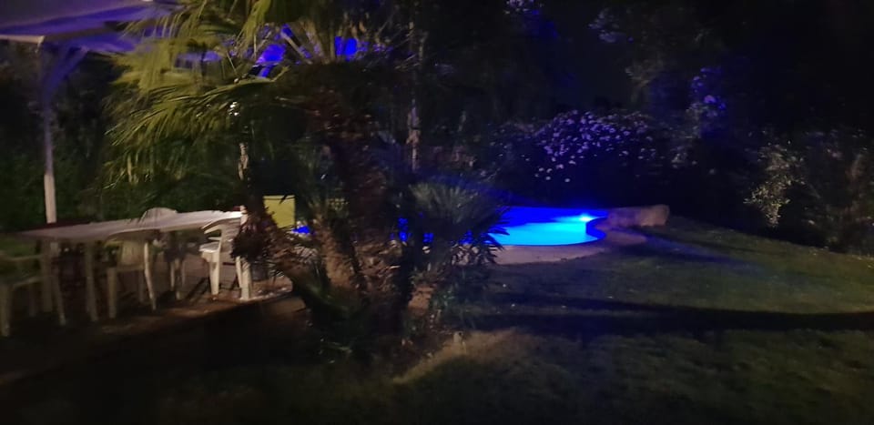 Garden, Swimming pool, Swimming pool
