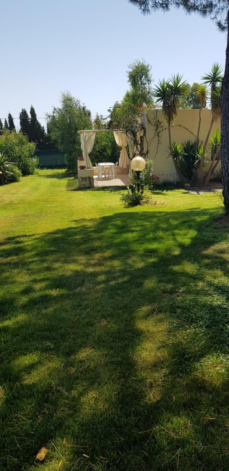 Garden, Garden view, Area and facilities