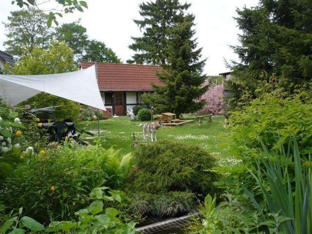 Pension-Drews-Ferienzimmer-3 Apartment in Mecklenburg-Vorpommern, Germany