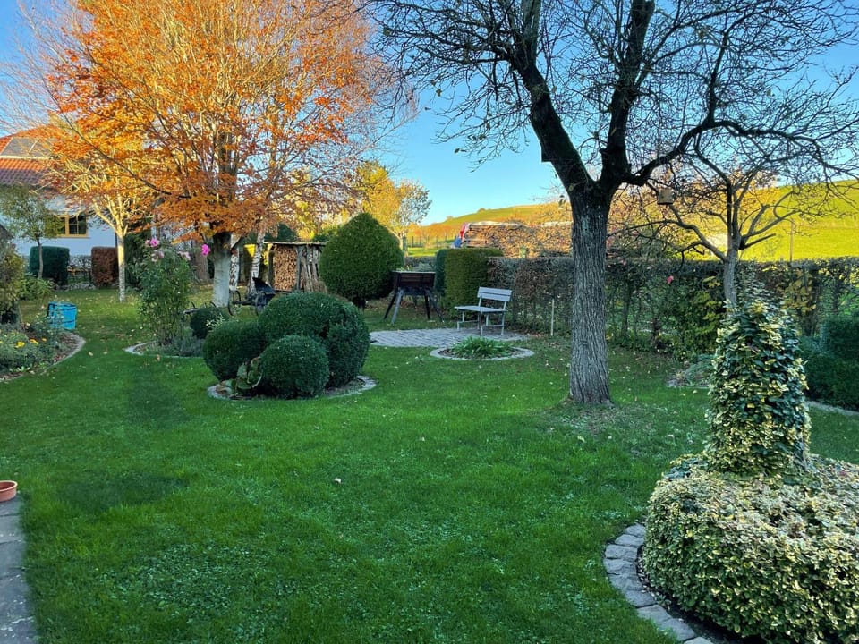 Haus-Hoeppches House in Ahrweiler