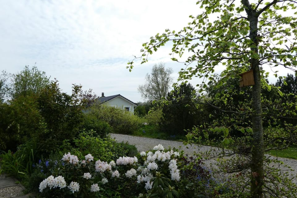 Ferienhaus-Silbermoewe House in Kappeln