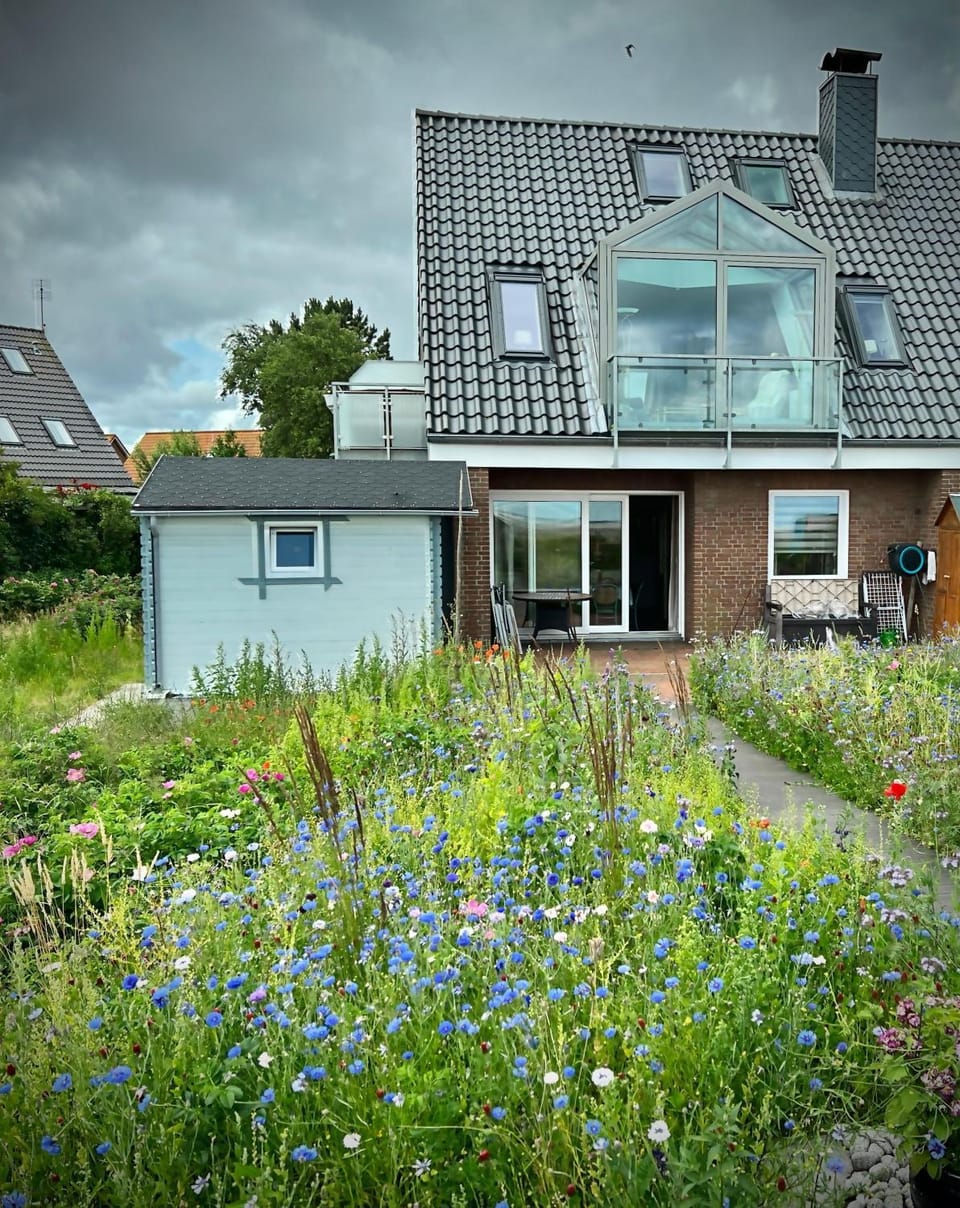Haus-am-Deich Apartment in Nordfriesland