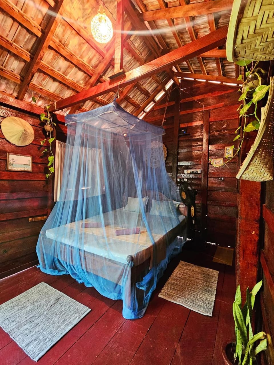 Bed, Photo of the whole room, Bedroom, internet