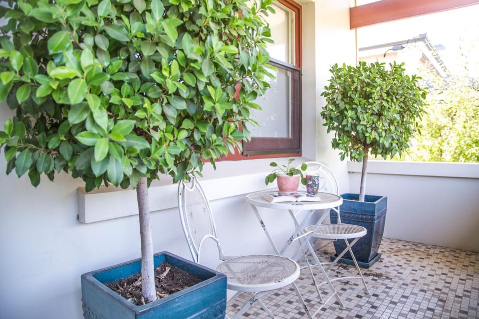 Mataro Cottage House in Tanunda