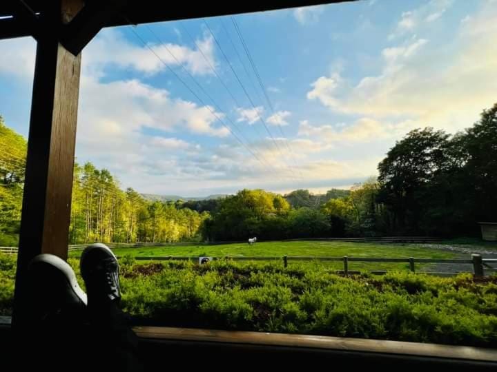 Day, Natural landscape, Garden, Garden view