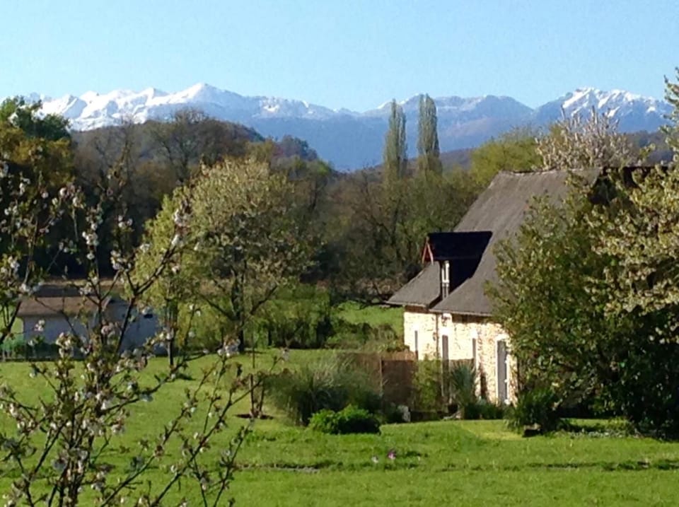 Mountain view