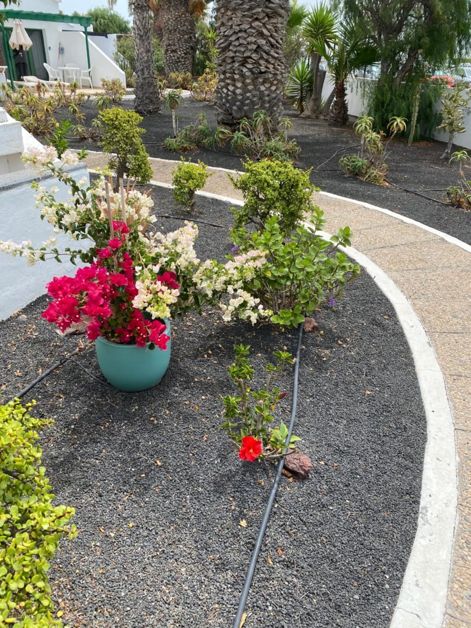 Garden view