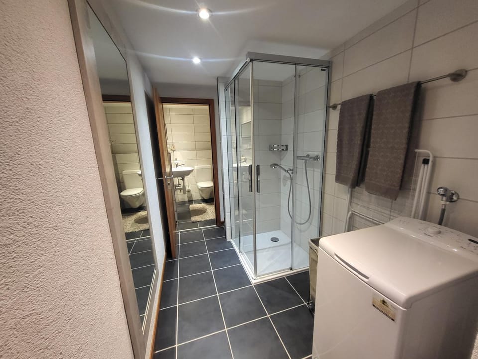 Shower, Toilet, Bathroom, towels