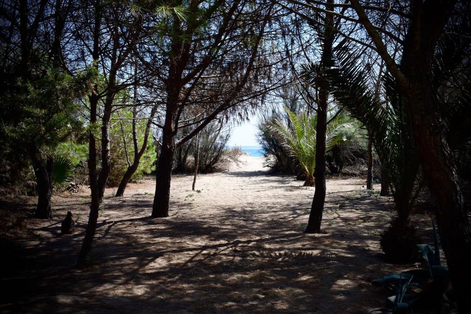 Sea view