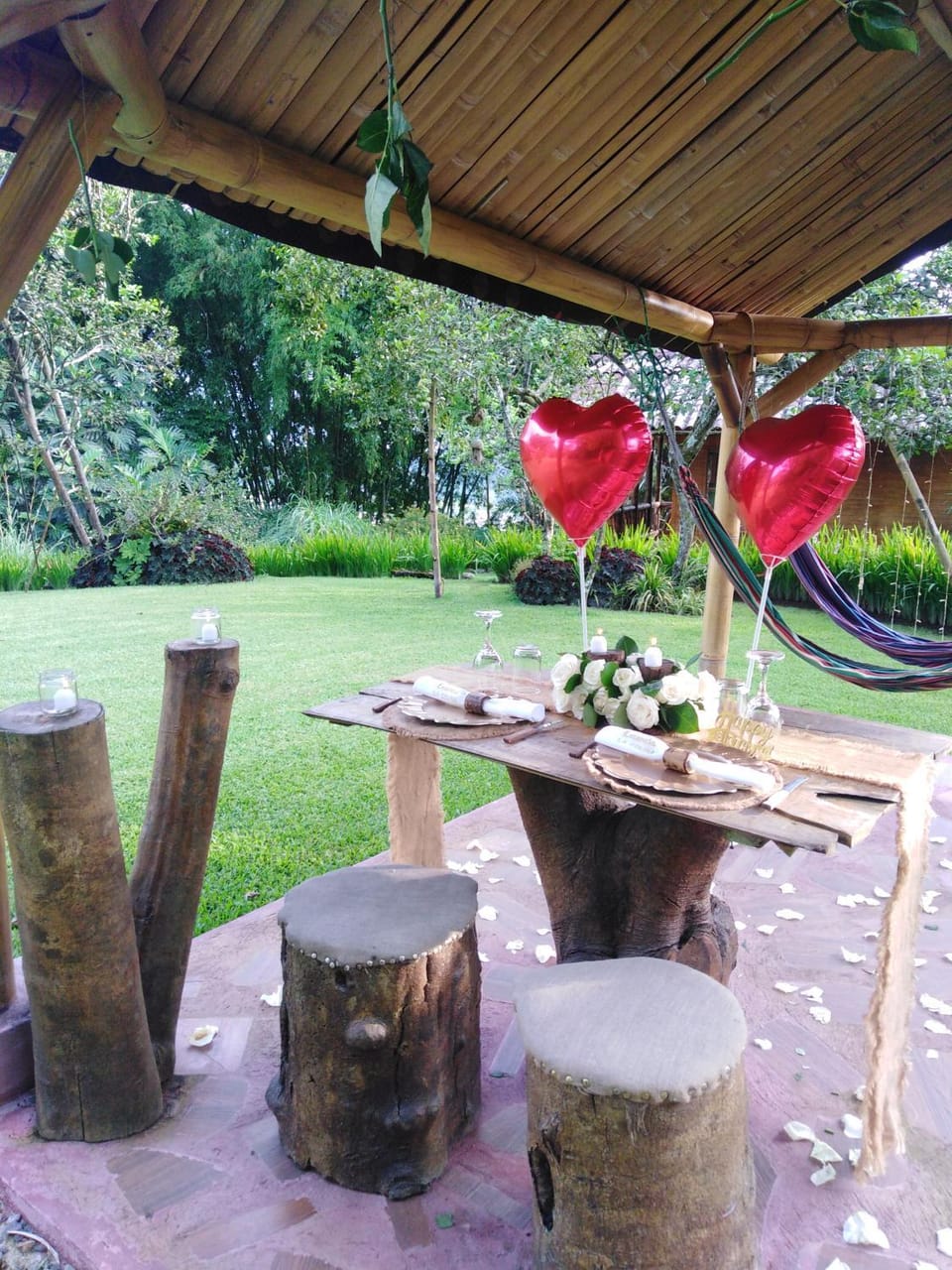 Day, Garden, Food and drinks, Garden view