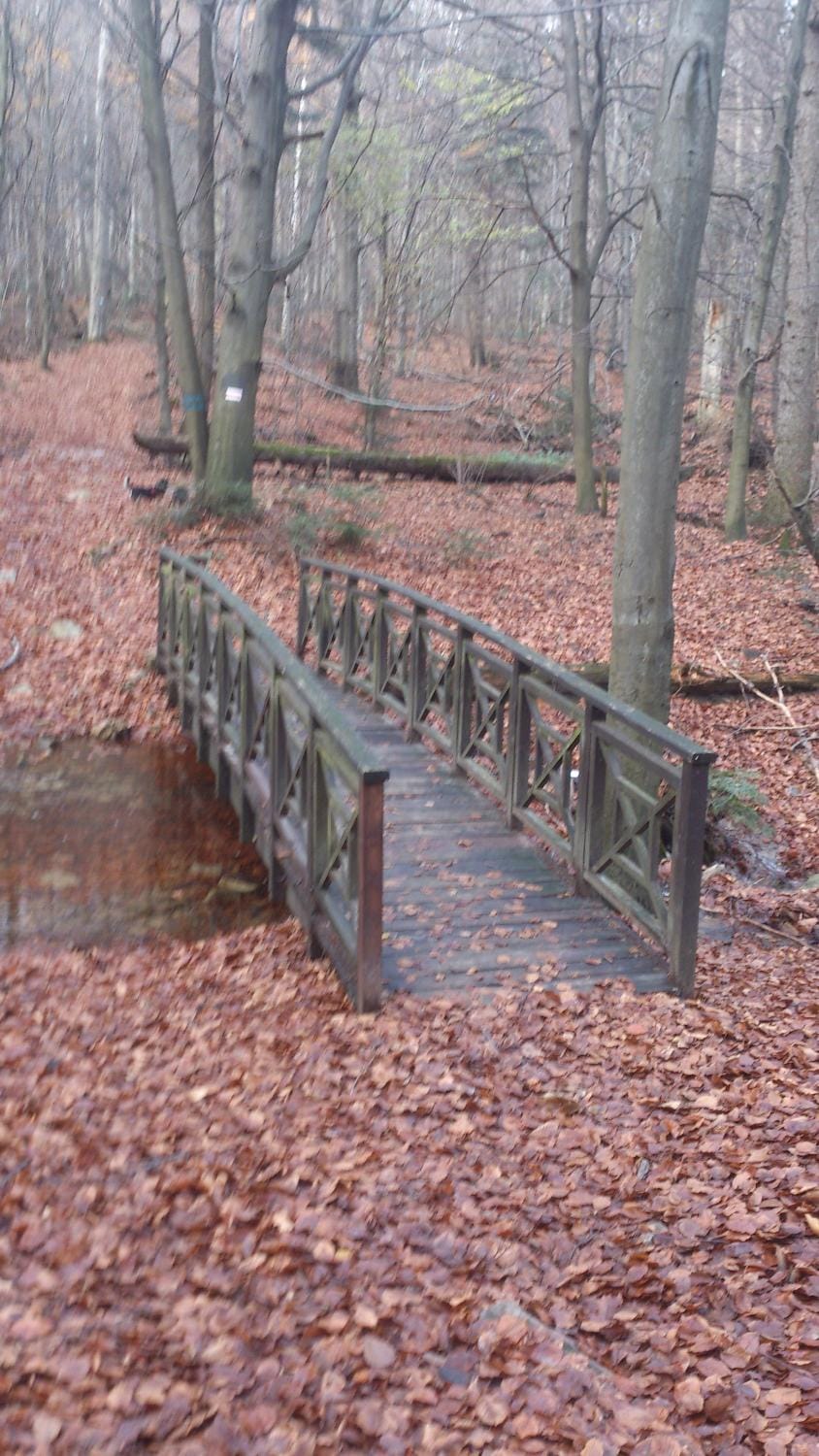 Natural landscape, Hiking, Autumn