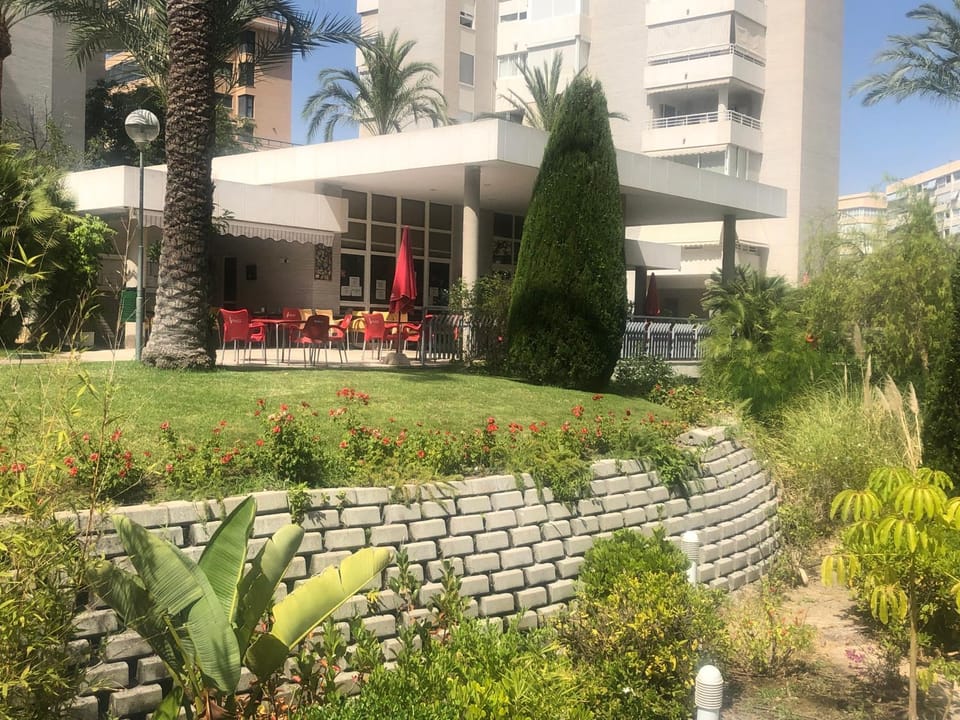 Restaurant/places to eat, Lunch, Dinner