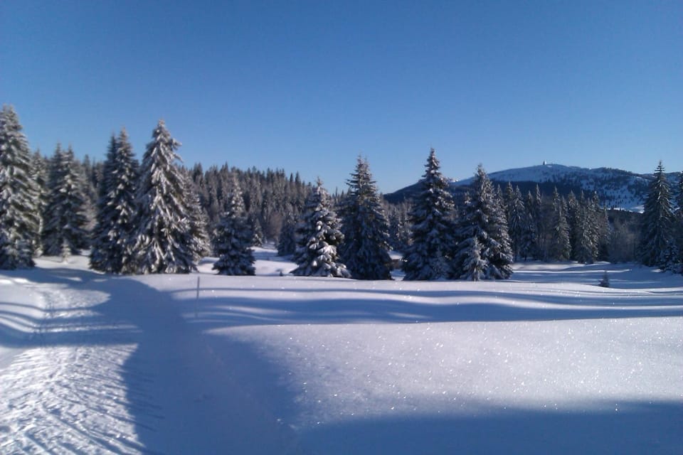 Skiing, Hiking