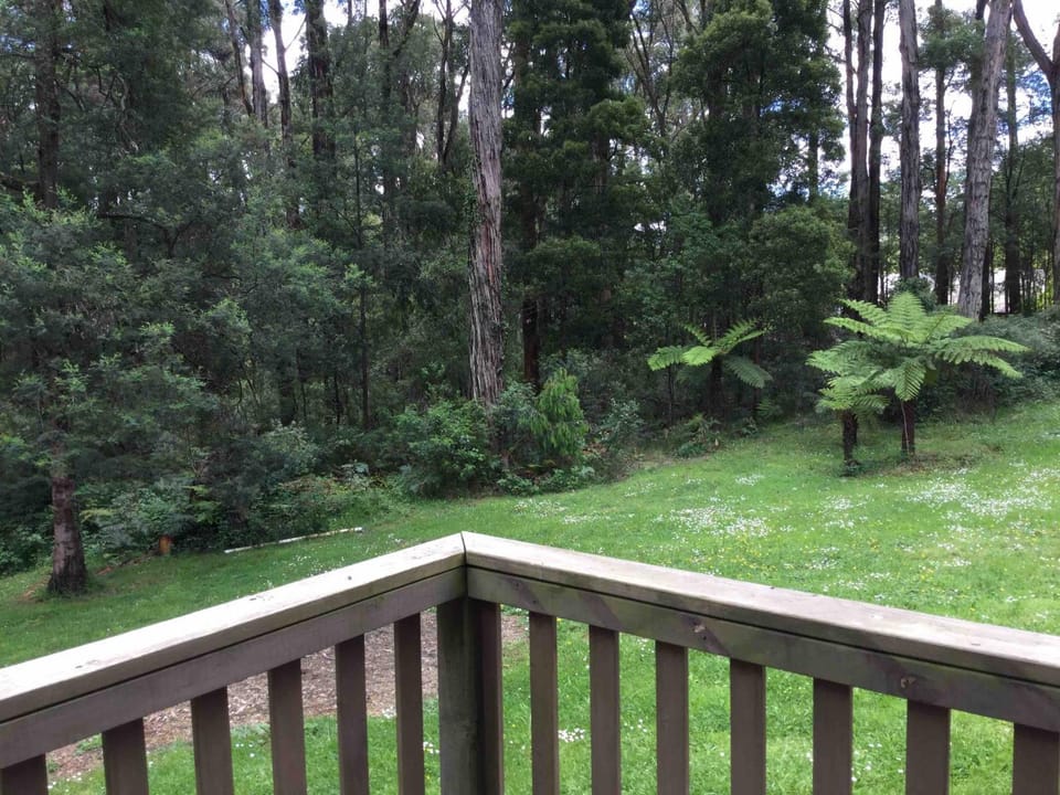 Balcony/Terrace, Garden view