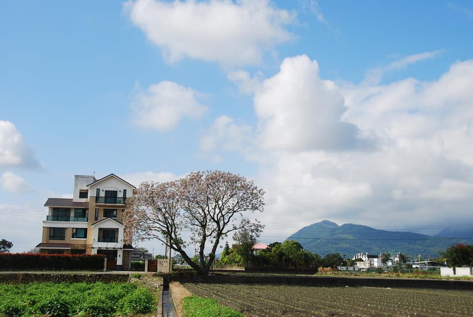 Property building, Facade/entrance, Bird's eye view, View (from property/room), Floor plan, Mountain view
