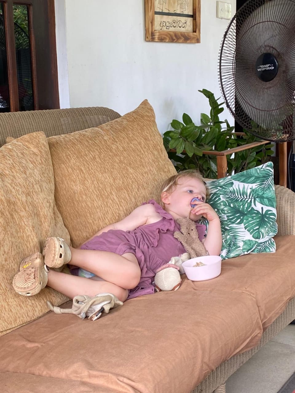 Grace Green Ville Vacation rental in Negombo