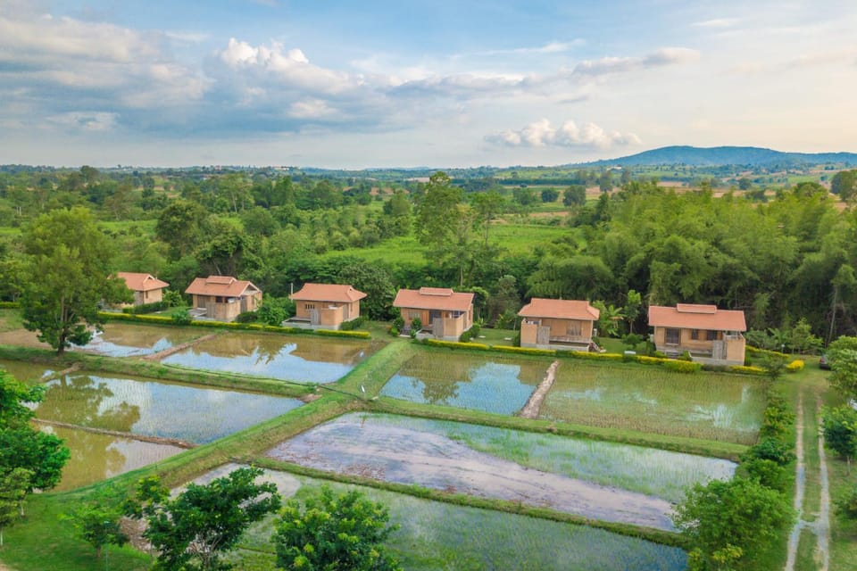 Bird's eye view, Garden view