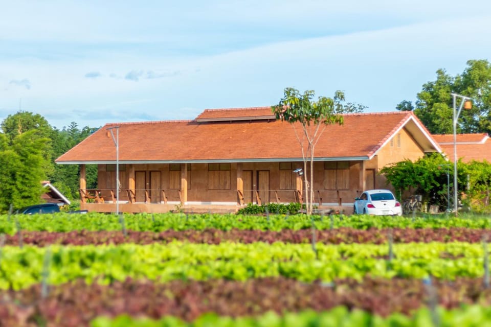 Property building, Facade/entrance, Garden view