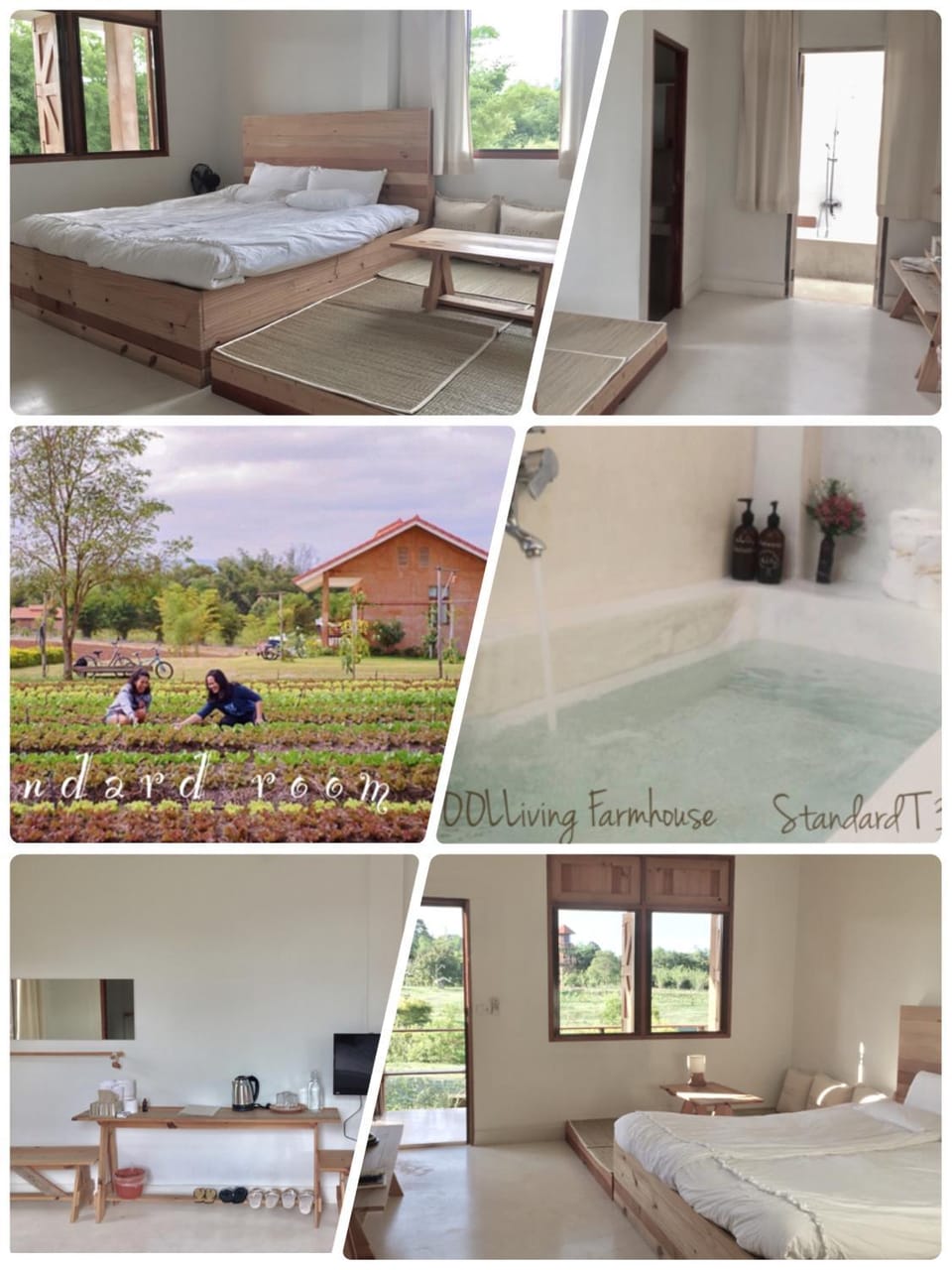COOLLiving Farmhouse Organic Farm Stay in Laos