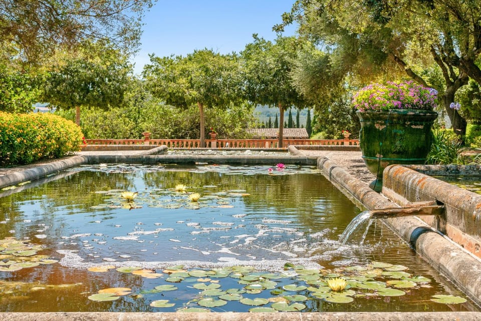 Lake view