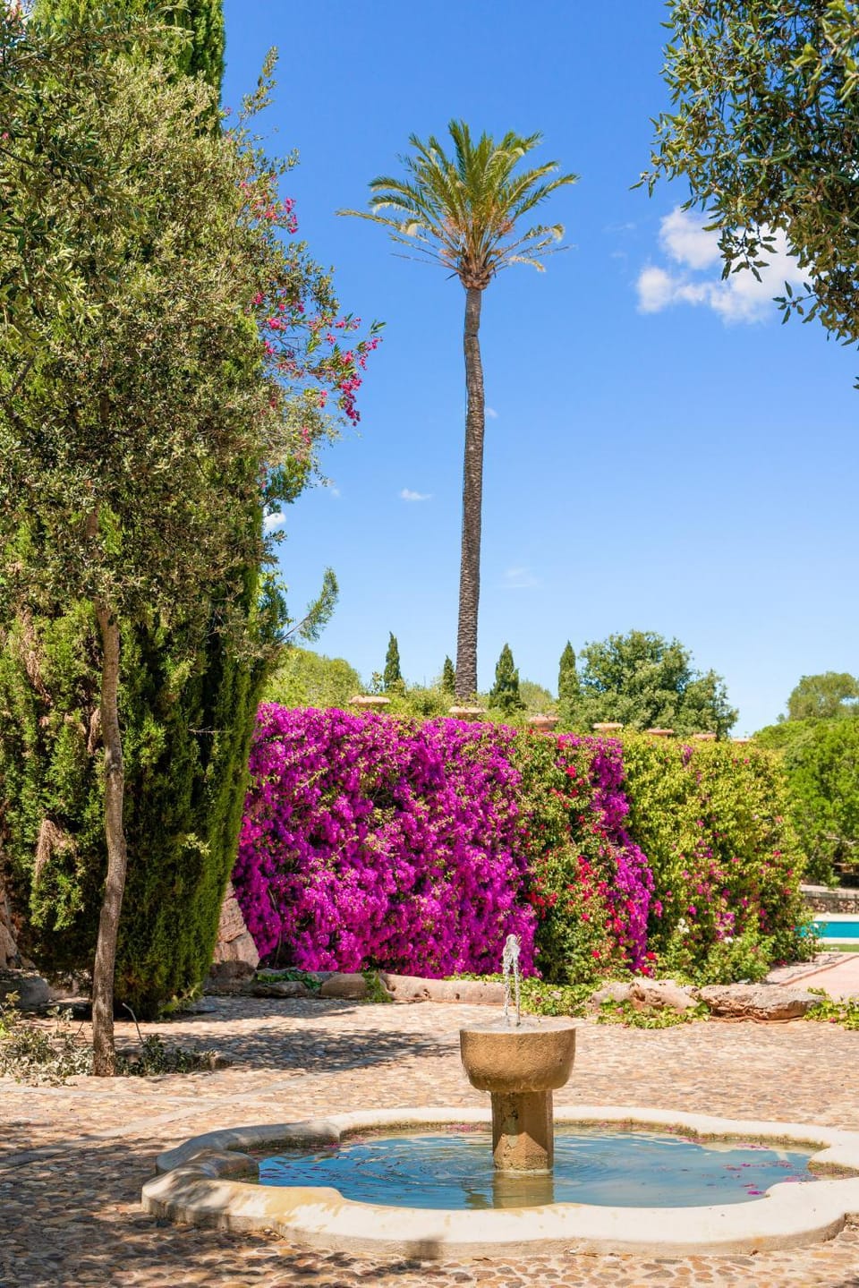 Garden view