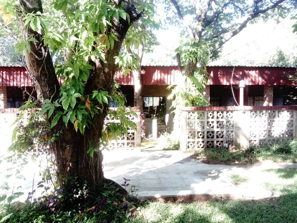 Property building, Garden