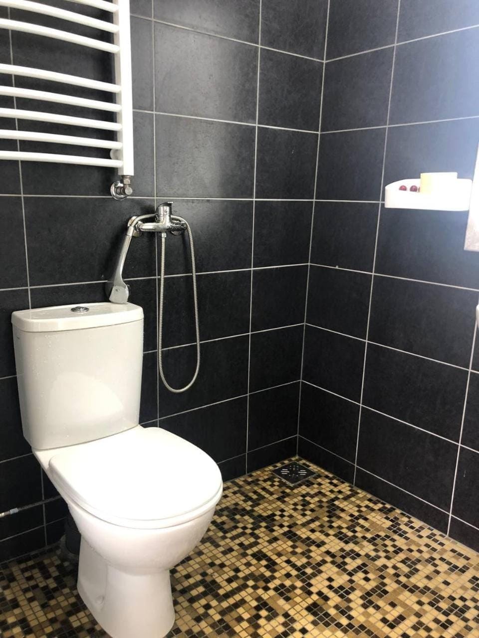 Shower, Toilet, Bathroom