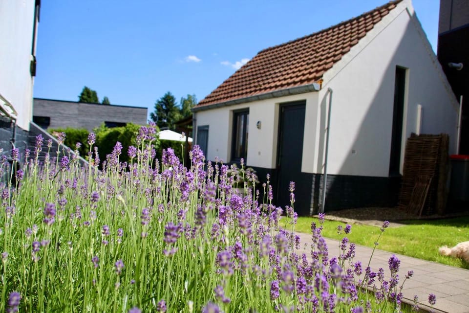 Belle Chique - Maastricht Bed and Breakfast in Maastricht