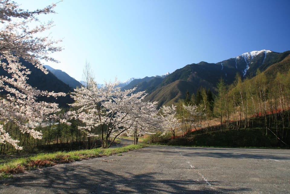 A Small Nature Hotel Hilltop 高原の小さなホテル ヒルトップ Bed and Breakfast in Nagano Prefecture