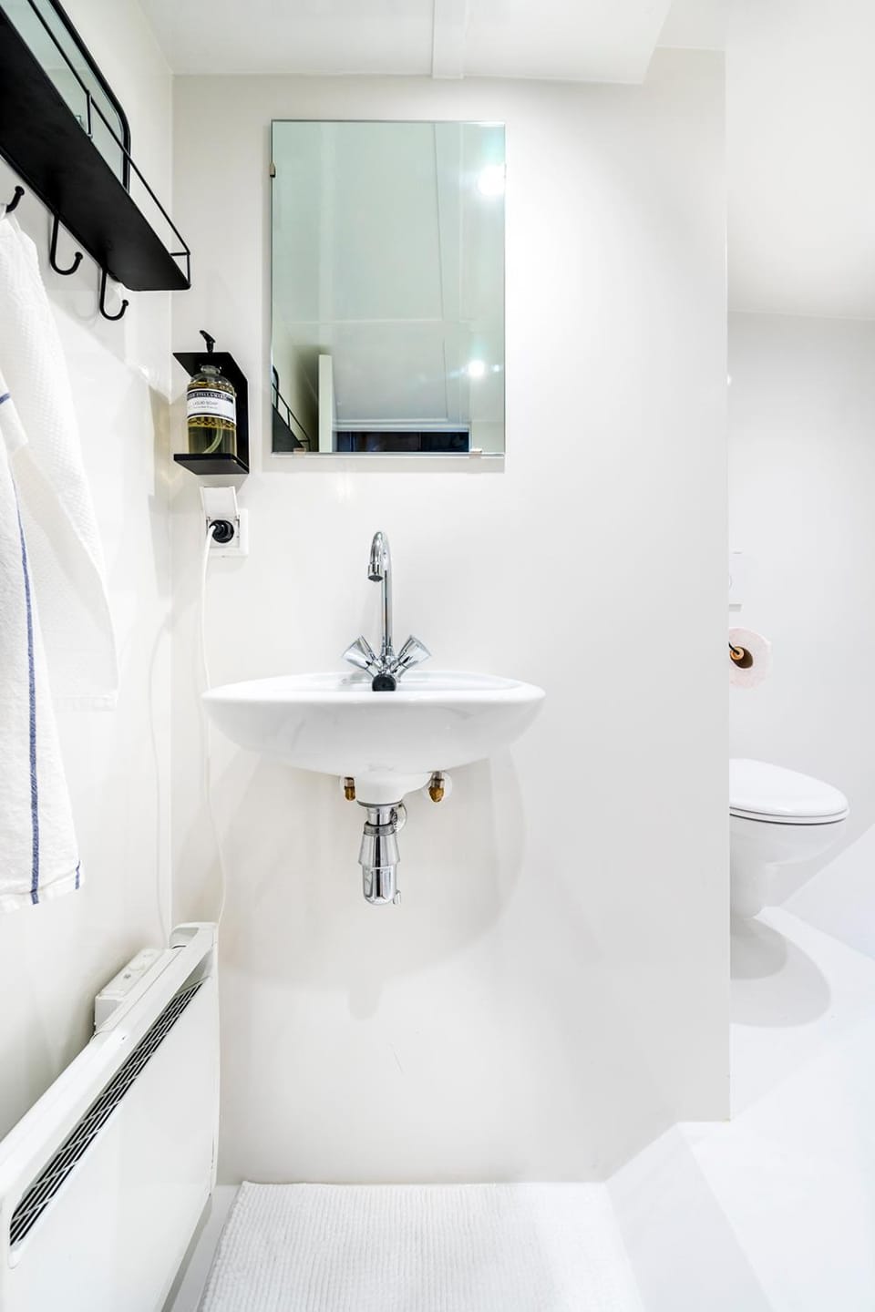 Toilet, Bathroom, Photo of the whole room, Decorative detail