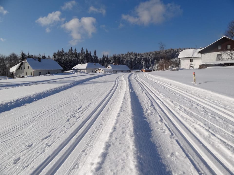 Natural landscape, Winter