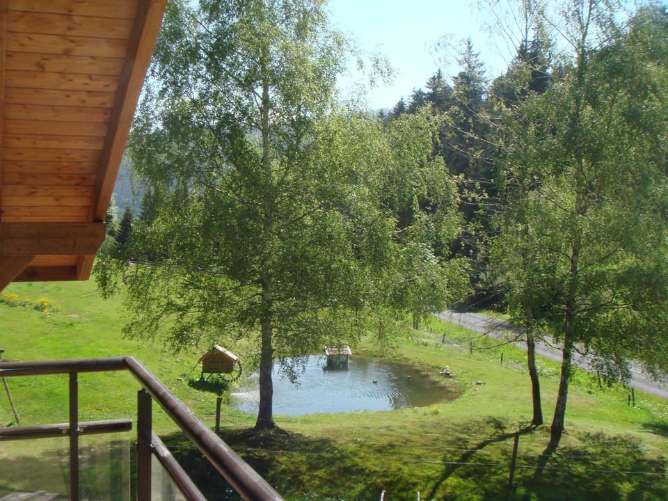 Chalet Elisa Chalet in Xonrupt-Longemer