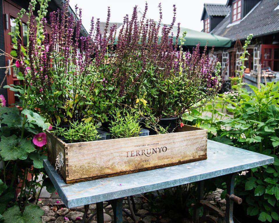 Grundfør bed and breakfast Bed and Breakfast in Central Denmark Region