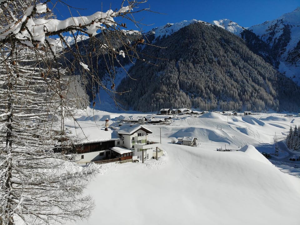 Winter, Mountain view