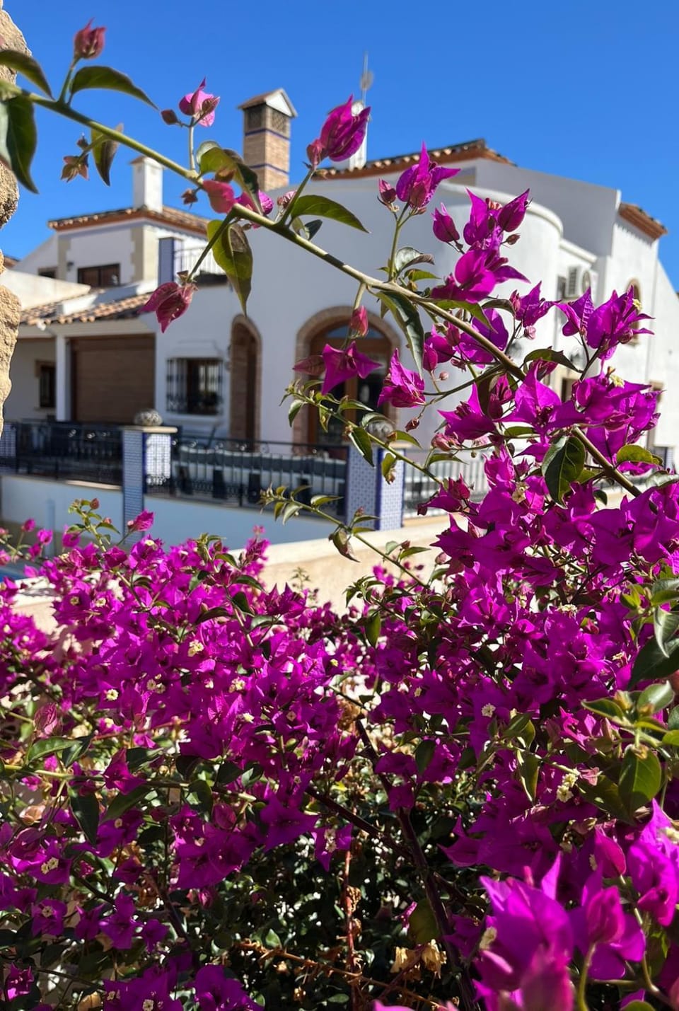 La Torre Alba - La Finca Golf Resort Villa in Vega Baja del Segura
