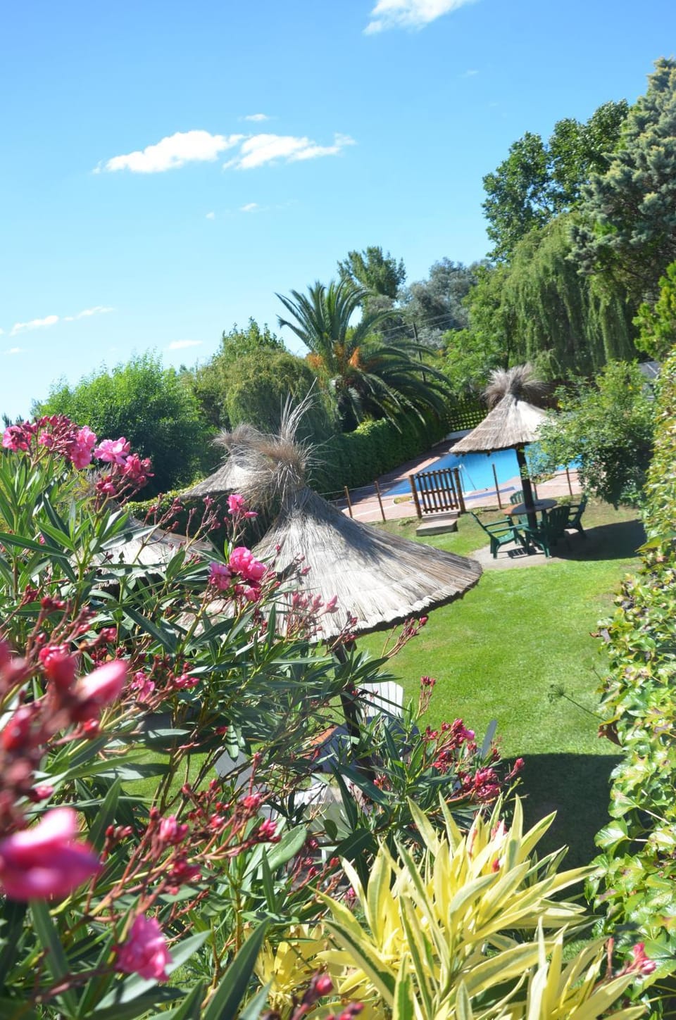 Garden, Solarium, Open Air Bath