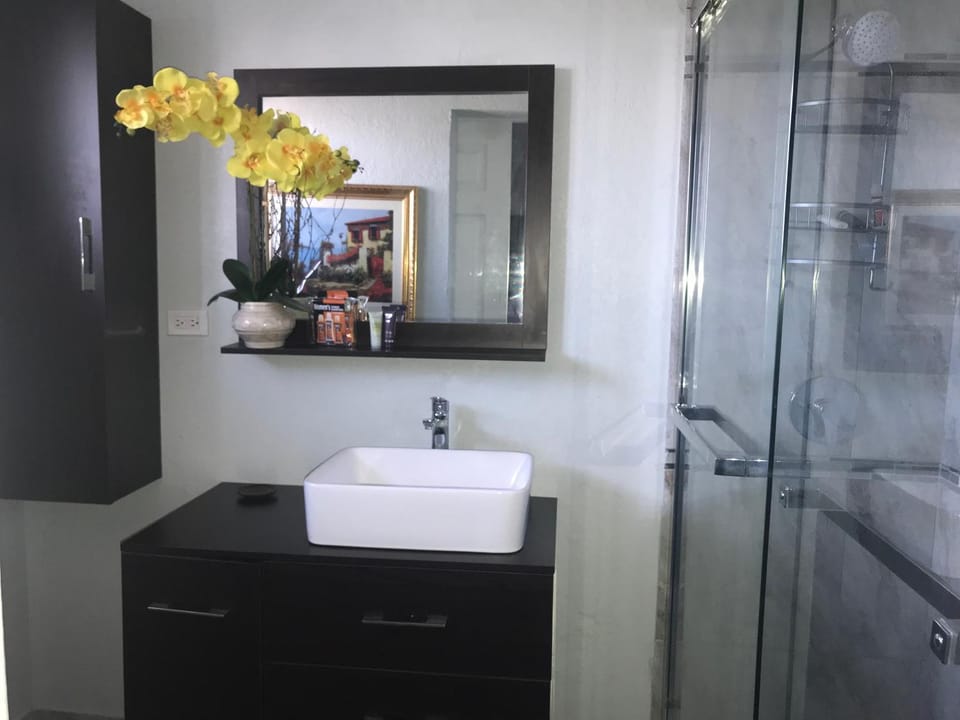 Abacus Jamaica the Zana Suites Apartment in Kingston