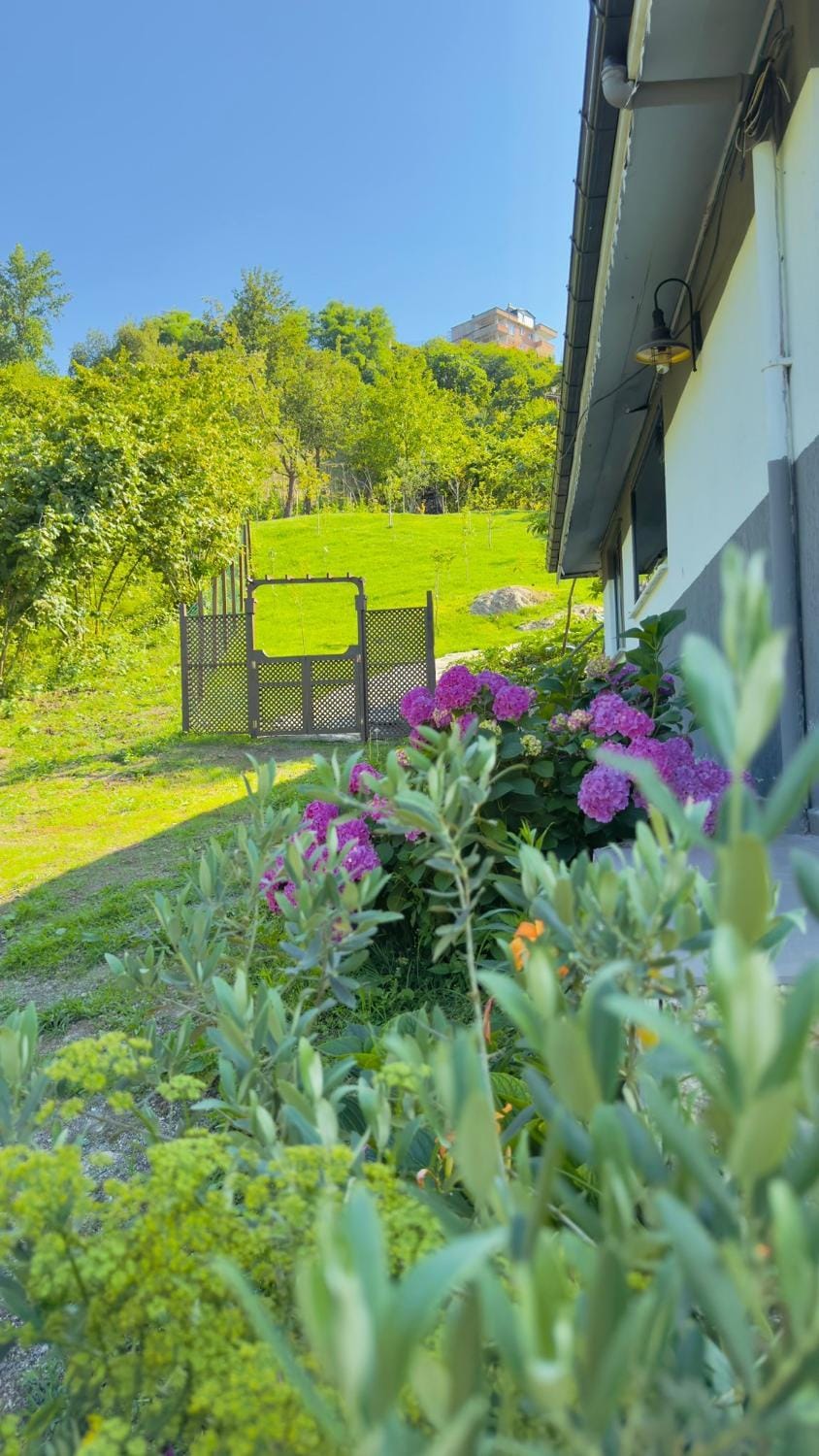 Day, Garden, Garden view