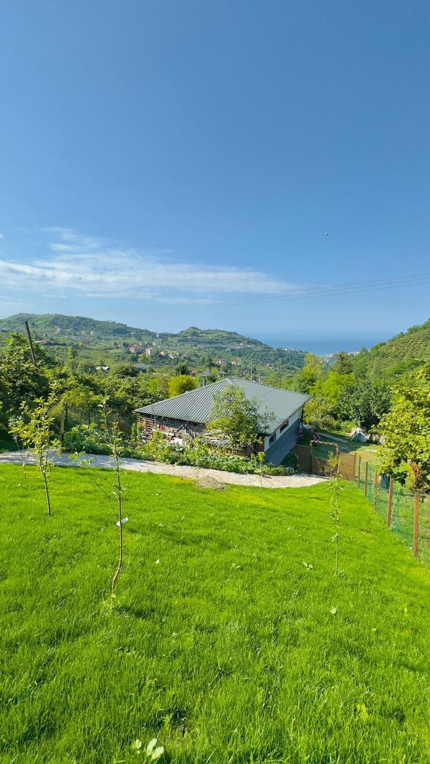 Natural landscape, Mountain view