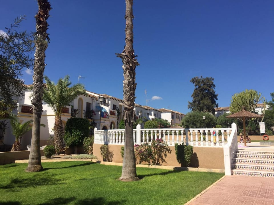 Garden, Decorative detail, Garden view, Swimming pool