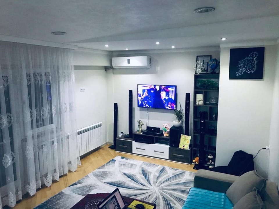 TV and multimedia